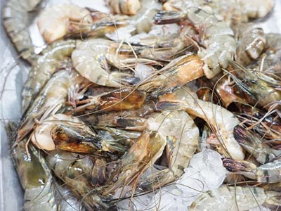 加強冷鏈?zhǔn)称纷匪莨芾恚丝萍荚谛袆樱?></a>
					<div   id=